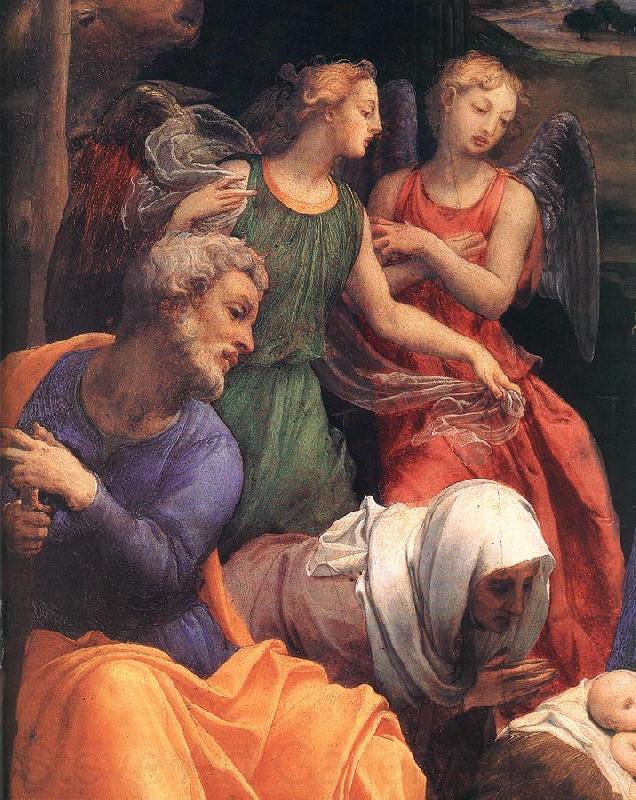 BRONZINO, Agnolo Adoration of the Shepherds (detail)  f Spain oil painting art